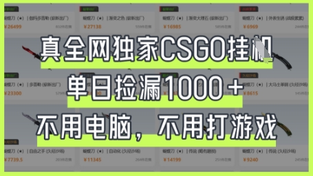 真全网独家CSGO挂G，单日捡漏1k+【揭秘】-莹轻创